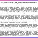 Los pueblos indígenas de la cuenca amazónica construyen su  futuro